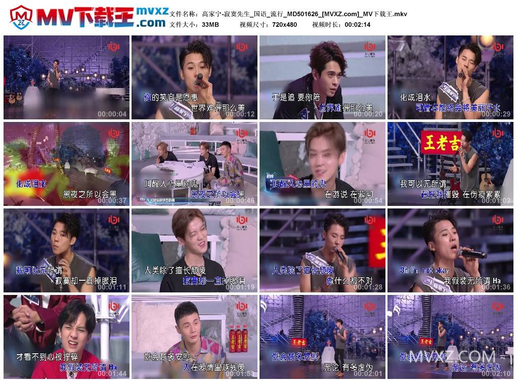 高家宁-寂寞先生_国语_流行_MD501626